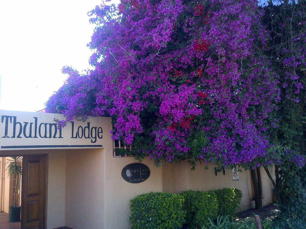 Thulani Lodge Йоханнесбург Экстерьер фото